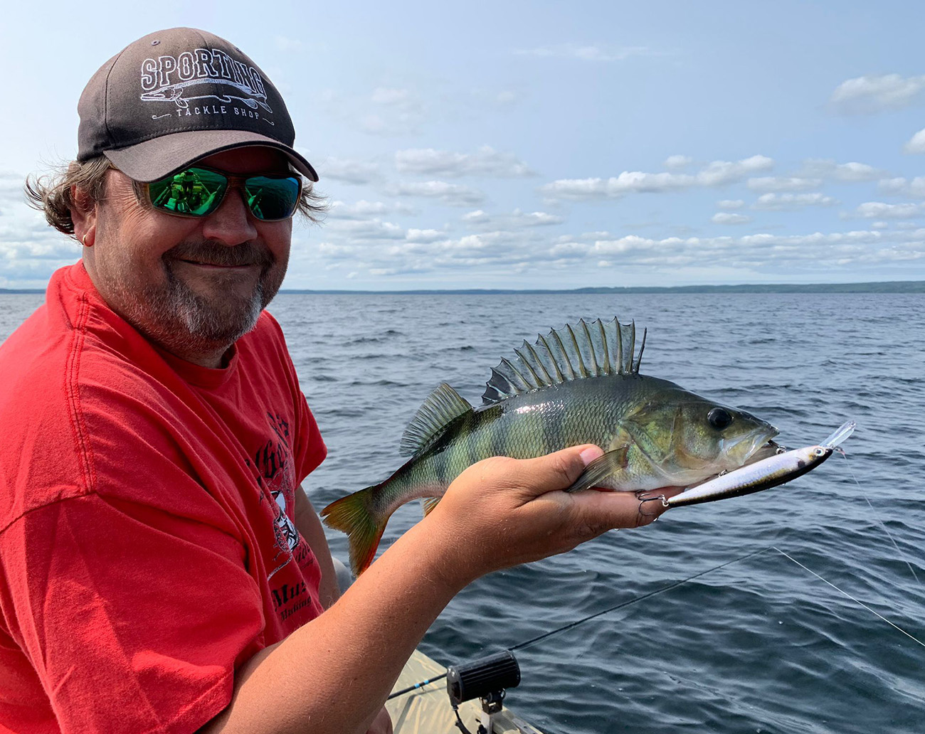 Seaguar R-18 Seabass Flash Green